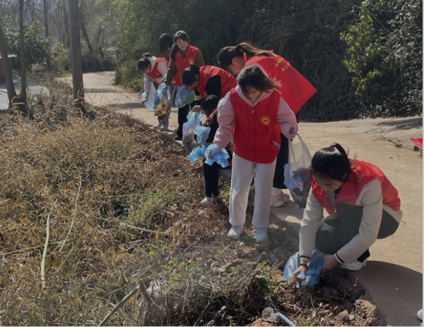 d258a125743f43418dc779a8f8d01b51.png image.png